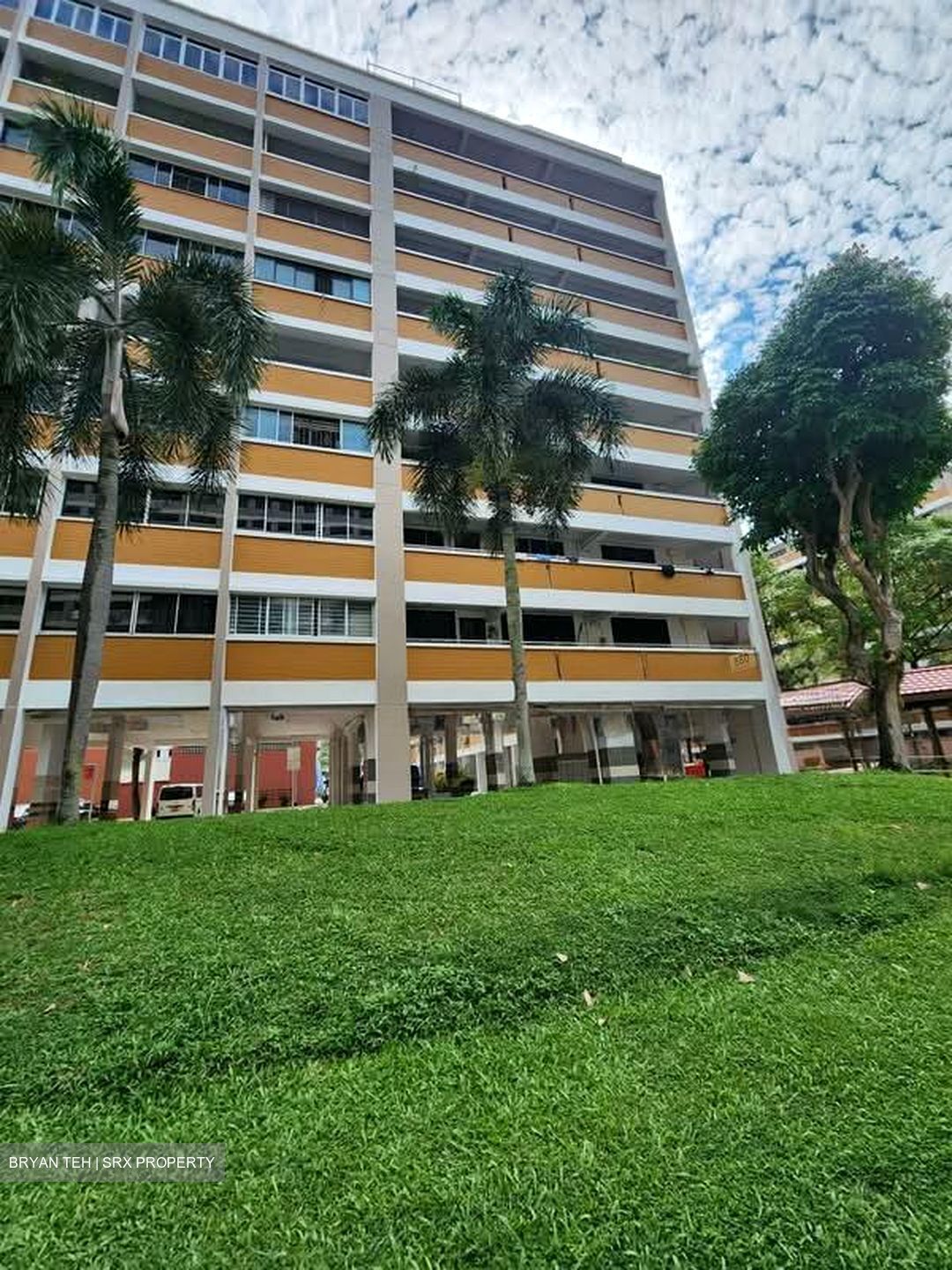 Blk 880 Tampines Spring (Tampines), HDB 4 Rooms #592943131